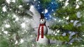 Christmas Night Star with a Snowman and fir trees Royalty Free Stock Photo