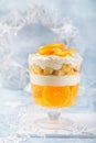 Christmas orange rifle. Festive layered dessert in glass Royalty Free Stock Photo