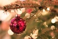 Christmas globe on a city tree in Budapest