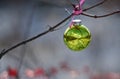 Christmas Ornament Decorating an Outdoor Tree Reflecting Snowy Scene