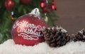 Christmas Ornament with Lighted Tree in Background