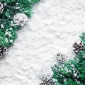 Christmas ornament with pine branch on snow background Royalty Free Stock Photo