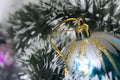 Christmas ornament Royalty Free Stock Photo