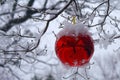 Christmas Ornament in Snow Coated Tree