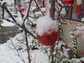 Christmas ornament with snow on top