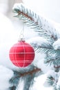 Christmas ornament on snowy branch. Royalty Free Stock Photo