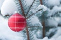 Christmas ornament on snowy branch.