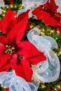 Christmas ornamental classics Royalty Free Stock Photo