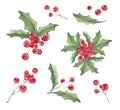 Christmas ornaments from the branches painted with watercolors on white background. Branches of trees. Holly sprigs with red berri