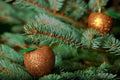 Christmas ornaments on live Christmas tree