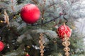 Christmas ornaments on living branch of Christmas tree outdoors