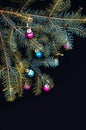 Christmas ornaments and pine branches on black background. Purple and green christmas balls on green spruce branch.Christmas balls Royalty Free Stock Photo