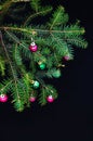 Christmas ornaments and pine branches on black background. Purple and green christmas balls on green spruce branch.Christmas balls Royalty Free Stock Photo