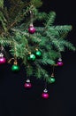 Christmas ornaments and pine branches on black background. Purple and green christmas balls on green spruce branch.Christmas balls Royalty Free Stock Photo