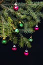 Christmas ornaments and pine branches on black background. Purple and green christmas balls on green spruce branch.Christmas balls Royalty Free Stock Photo