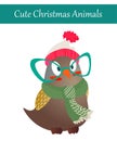 Christmas Owl Bird Wearing Warm Winter Clothes