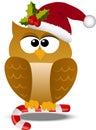 Christmas owl in santa hat Royalty Free Stock Photo