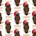Christmas owl with Santa hat seamless pattern Royalty Free Stock Photo