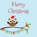 Christmas owlet on branch