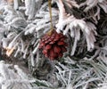 Christmas painted in red color pine cone Royalty Free Stock Photo