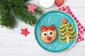 Christmas pancake in a shape of reindeer made of fresh fruits and berries and kiwi christmas tree. Healthy food for kids ideas. Royalty Free Stock Photo