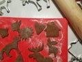 Christmas pastries - gingerbread preparation