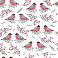 Christmas pattern with bullfinches. Seamless pattern with birds, leaves and rowan berries.