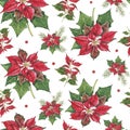 Christmas pattern with poinsettia and fir branches. Watercolor illustration with a Xmas motif. A plant with red leaves. Christmas Royalty Free Stock Photo