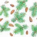 Christmas pattern of winter tree and pine cones on white. New year background. Flat lay, top view Royalty Free Stock Photo