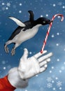 Christmas Penguin