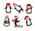 Christmas penguin. Funny snow animals, cute baby penguins cartoon characters in winter hat. Isolated vector set of penguin animal