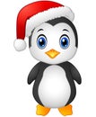 Christmas penguin with Santa hat Royalty Free Stock Photo
