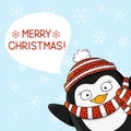 Christmas Penguin On Snow Background