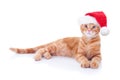 Christmas pet cat animal kitten in Xmas Santa hat