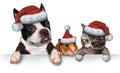 Christmas Pet sign Royalty Free Stock Photo