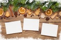 Christmas photo frames, tree, spices and cookies Royalty Free Stock Photo