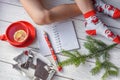 A Christmas photo with a girl`s feet in bright red socks, a fir twig, a note book and a pencil on a white wooden floor Royalty Free Stock Photo