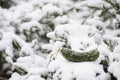 Christmas Pickle Christmas Ornament in the snow. Royalty Free Stock Photo