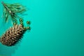 Christmas picture. Pine branch, pine cone and golden balls. Year of the tiger. Royalty Free Stock Photo