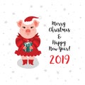 Christmas pig greeting card, Merry Christmas Happy New Year 2019 card. A cartoon pig in a red Santa Claus hat holds a Royalty Free Stock Photo