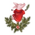 Christmas pig in a sweater, a symbol of the 2019 new year. Isolated on white background. With garland