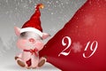 Christmas piglet. Cute and funny character pig