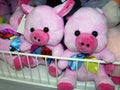 Christmas pigs in the store