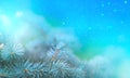 Christmas pine branch in the rays of light close up, blue background with reflections of stars and beautiful bokeh of lanterns. Royalty Free Stock Photo