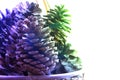 Christmas pine cone fruits background