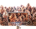 Christmas pine cone fruits background
