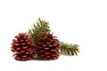 Christmas pine cones, pine leaves Royalty Free Stock Photo