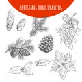 Christmas Pine, Fir Tree Branches And Cones Vector Sketch