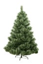 Christmas pine-tree, isolated