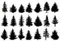 Christmas pine trees silhouettes. Coniferous forest monochrome woods, vintage fir trees silhouettes vector isolated